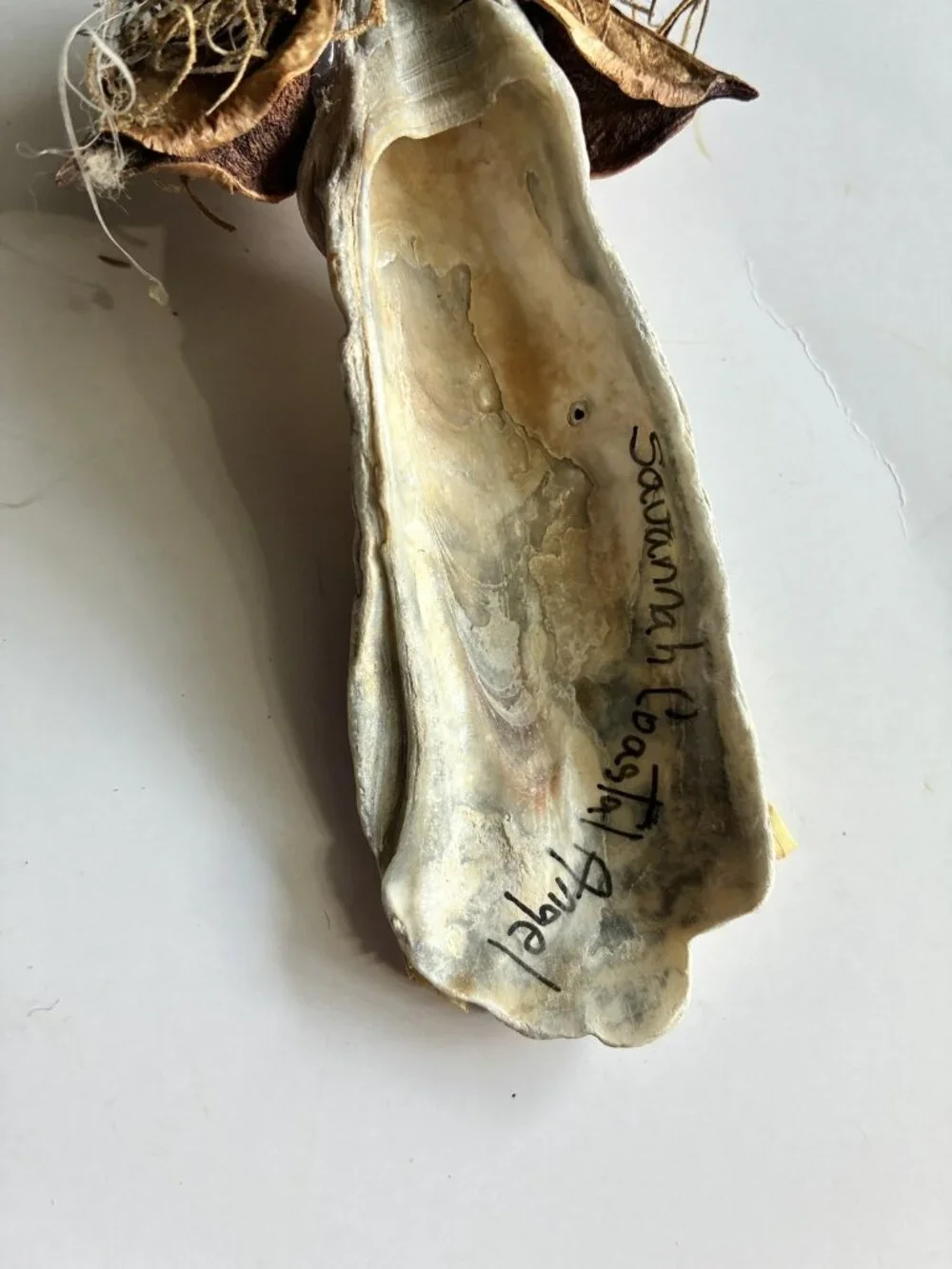 Coastal Angel Ornament Handmade Oyster Shell Savannah Christmas Decor